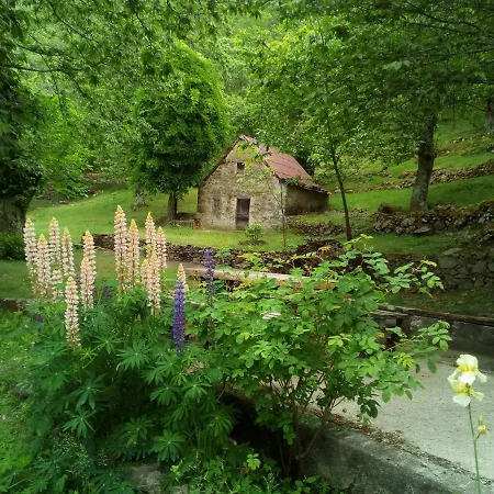 Le Muse * Pieve Fosciana