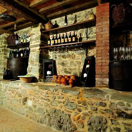 Le Muse Sillico Nyaraló *